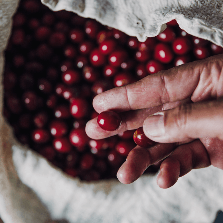 Mục tiêu và định hướng